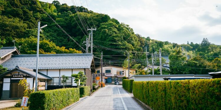 A picturesque road leads to a lush green hill.