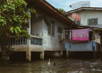 a bird standing in a flooded area next to a house