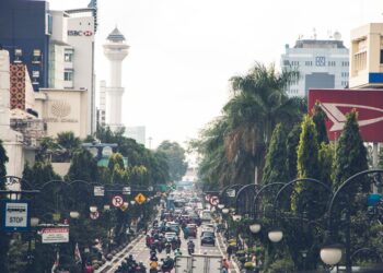 aerial photography of vehicles passing on road between green trees during daytime