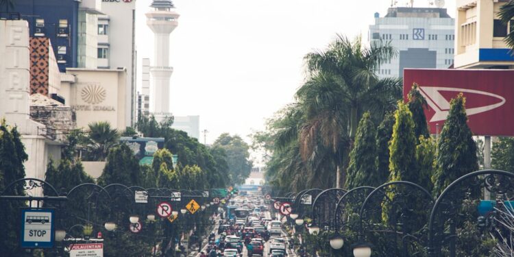 aerial photography of vehicles passing on road between green trees during daytime