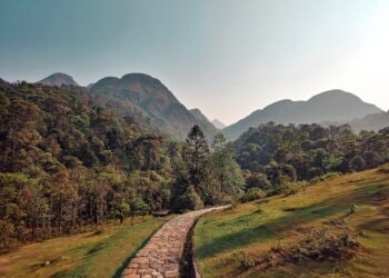 Serene mountain pathway with lush greenery in Vietnam during daytime.