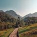 Serene mountain pathway with lush greenery in Vietnam during daytime.