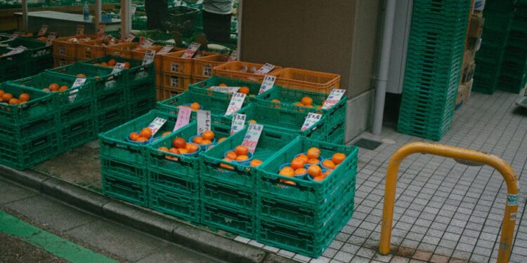 Vibrant street market in Tokyo showcasing fresh oranges in colorful crates.
