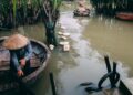 Men rowing traditional basket boats in rural Vietnam's lush waterways.