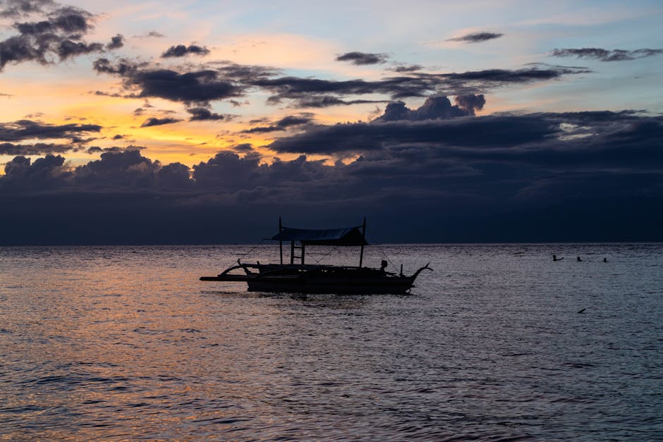 Plongeur nageant avec un banc de sardines à Moalboal, Cebu, Philippines