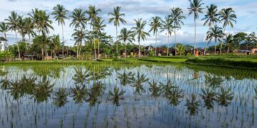 Free stock photo of active travel, adventure, adventure travel