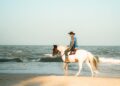A man rides a horse along the beach in Thailand at sunrise, showcasing serene ocean views.