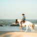 A man rides a horse along the beach in Thailand at sunrise, showcasing serene ocean views.
