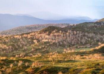 Breathtaking view of Asahi-Dake landscape in Hokkaido during the autumn season.