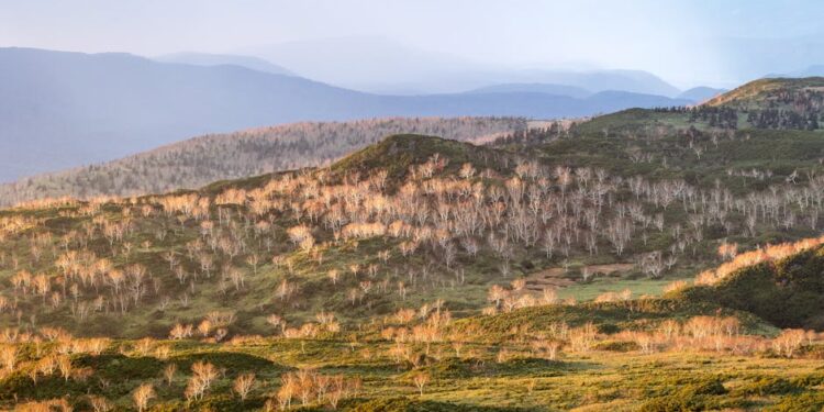 Breathtaking view of Asahi-Dake landscape in Hokkaido during the autumn season.