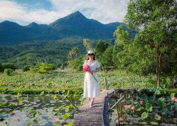 Woman in a white dress holds pink lotus flowers in a scenic Hoi An field, under a clear sky.