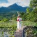 Woman in a white dress holds pink lotus flowers in a scenic Hoi An field, under a clear sky.