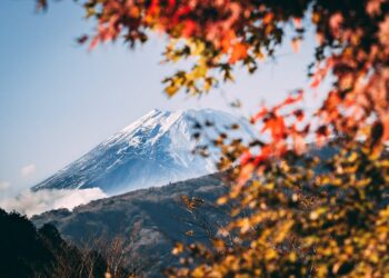 A serene view of Mount Fuji framed by vibrant autumn foliage under a clear blue sky.