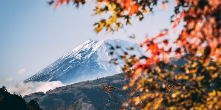 A serene view of Mount Fuji framed by vibrant autumn foliage under a clear blue sky.