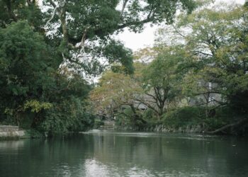 Tranquil river with lush greenery in Japan, showcasing nature's serene beauty.
