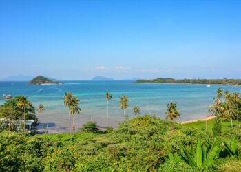 A stunning view of Ko Mak's tropical beach with clear blue waters and palm trees.