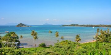 A stunning view of Ko Mak's tropical beach with clear blue waters and palm trees.