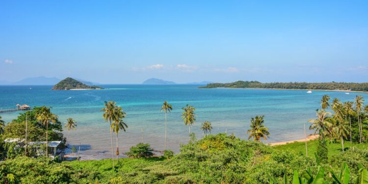 A stunning view of Ko Mak's tropical beach with clear blue waters and palm trees.