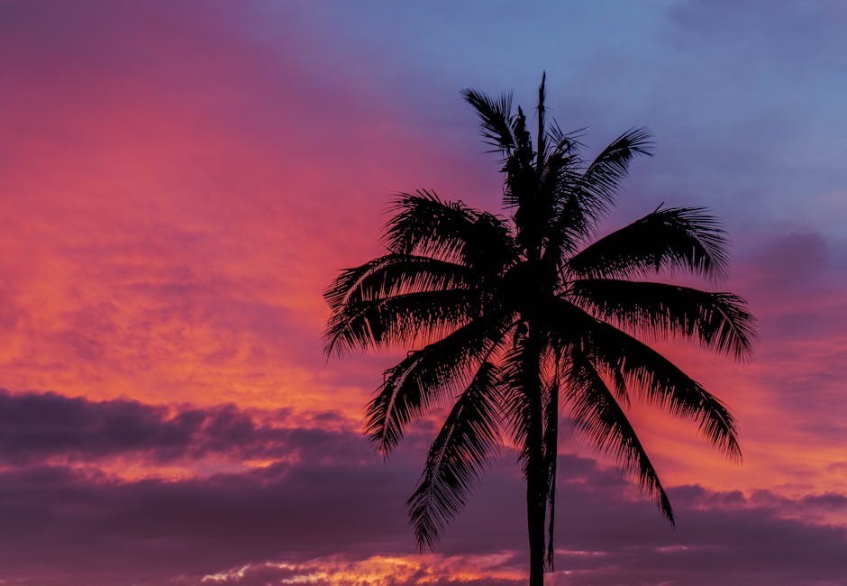 Coucher de soleil tropical sur une plage indonésienne bordée de palmiers