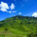 Vibrant green tea plantations spread across rolling hills in Cameron Highlands, Malaysia.