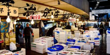 A vibrant scene at the Tsukiji Fish Market showcasing fresh seafood and active vendors in Tokyo, Japan.